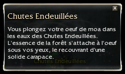 texte chutes