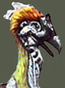 moa guildwars2 familier