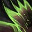 venin_de_drake_des_glaces_voleur_guildwars2_guildwars_2_gw2